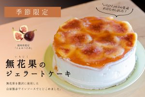 無花果 いちじく のジェラートケーキ 無添加ジェラート Chichiya Gelato